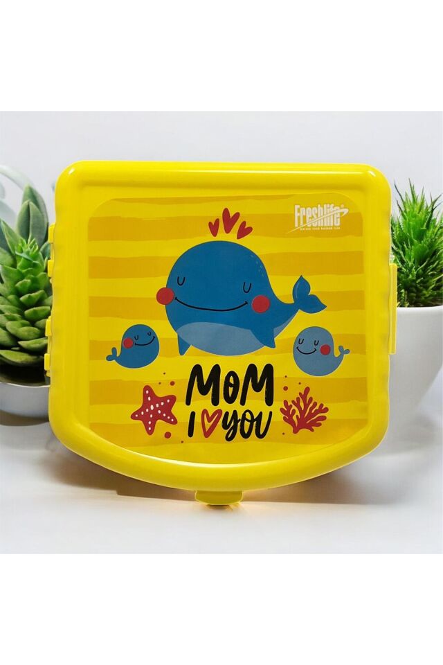 Bella Beslenme Kutusu 5PP Gıda İçin En Güvenilir Plastik