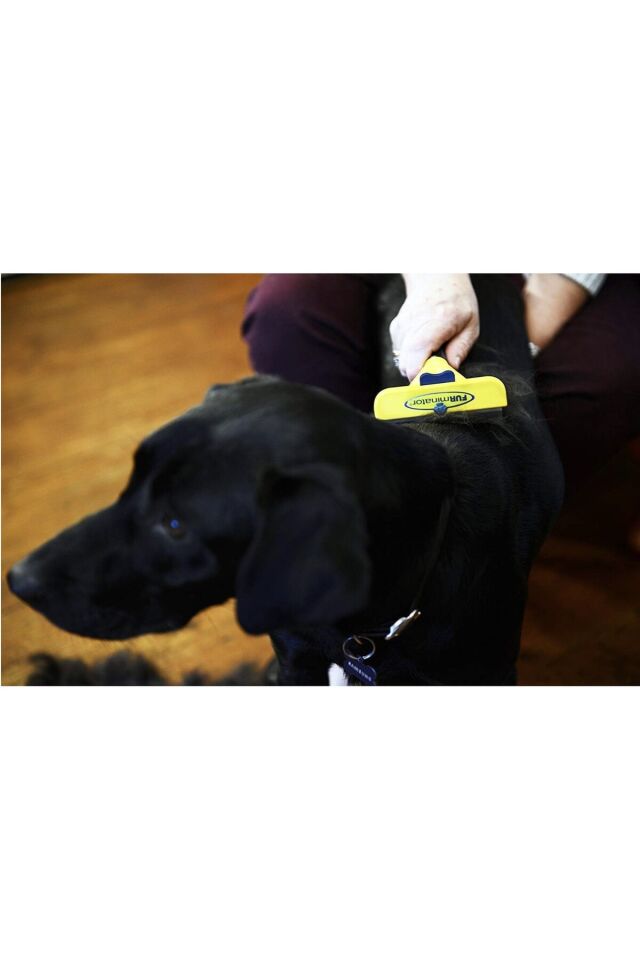 FURminator Uzun Tüylü Büyük Irk Köpekler İçin Tüy Toplayıcı Tarak (L - Large)